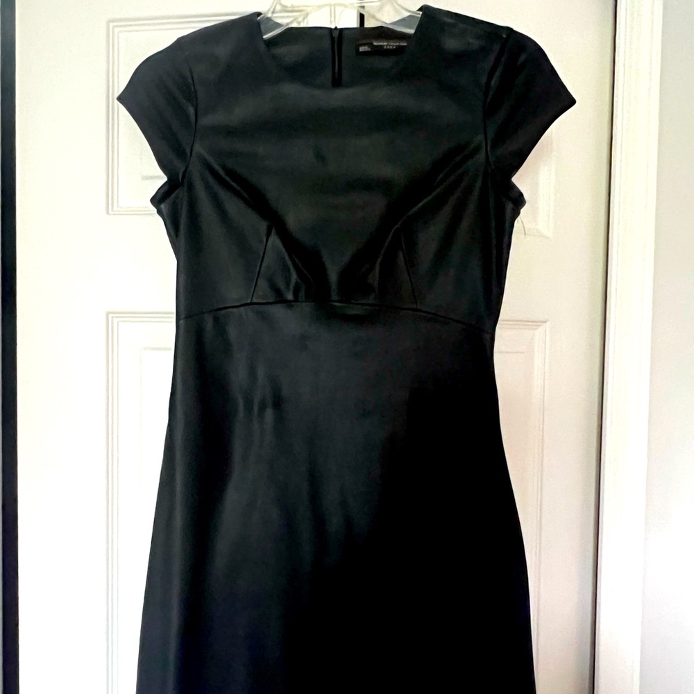 ZARA Leather Dress
